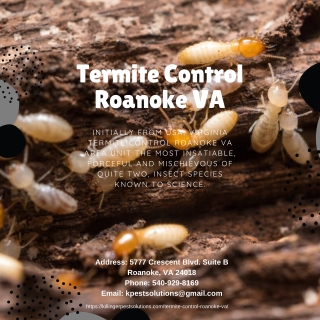 Termite Control Roanoke VA