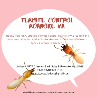 Termite Control Roanoke VA