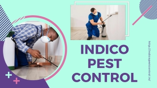 Pest Control in Uttam Nagar