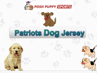 Patriots Dog Jersey