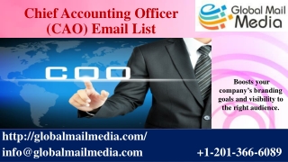 Chief Accounting Officer (CAO) Email List