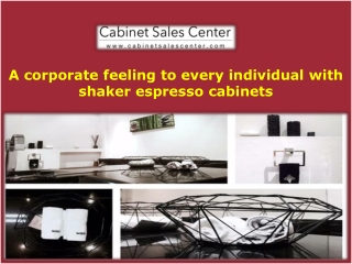 Best Shaker Espresso Cabinets - Cabinet Sales Center