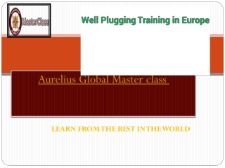 WELL PLUGGING TRAINING IN EUROPE