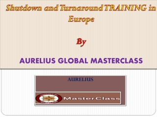 Shutdown and Turnaround Training In Europe