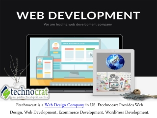 Etechnocrat - What should a web developer do?