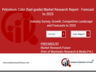 Petroleum Coke Market Trends, Segmentation, SWOT Analysis, Opportunities and Forecast To 2025