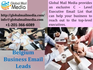 Belgium Business Email Leads