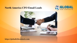 North America CFO Email Leads