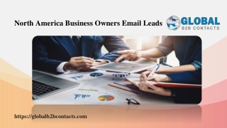 North America Business Owners Email Leads