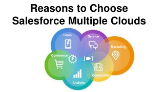 Reasons to Choose Salesforce Multiple Clouds