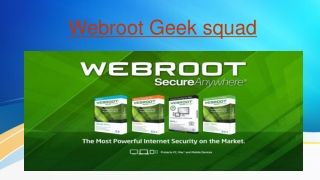 geek Squad Webroot