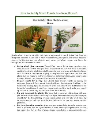 How to Safely Move Plants to a New House?