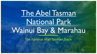 Track Transport & Guide about Abel Tasman, Wainui bay & Marahau