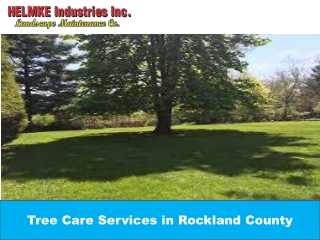 Tree Care Services in Rockland County