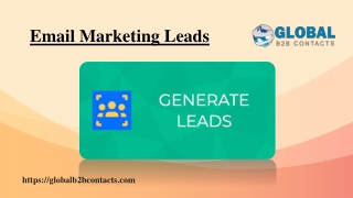 Email Marketing Leads