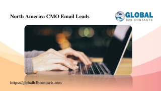 North America CMO Email Leads