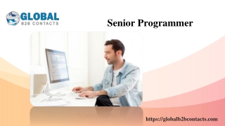 Senior Programmer