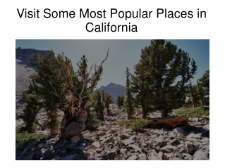 Visit Some Most Popular Places in California