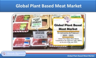 Plant Based Meat Market, Global Analysis by Source and Forecast 2019-2025