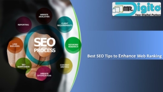 Top SEO company in Indore