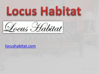 Best Furniture Shop Singapore - Locus Habitat