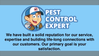 Affordable Pest Control Services - Pest Control Expert