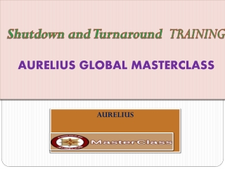 Shutdown and Turnaround Training