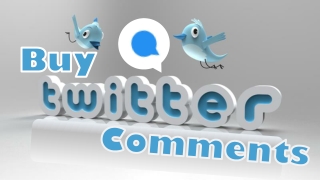How to Increase Traffic on Your Twitter Profile?