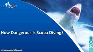 The Dangers and Risks of Scuba Diving - and Best Tips to Avoid Them.