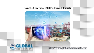 South America CEO's Email Leads