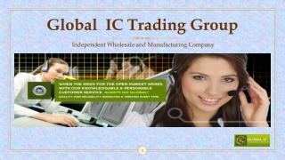Lori LeRoy Co-Founded Global IC Trading