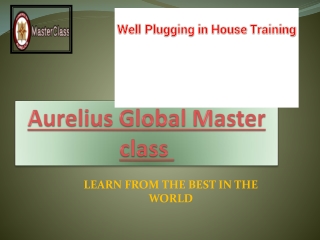 Well-plugging in -House Training