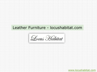 Leather Furniture - locushabitat.com