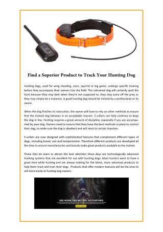Find a Superior Product to Track Your Hunting Dog