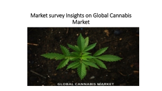 Market survey Insights on Global Cannabis Market