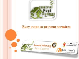 Easy steps to prevent termites
