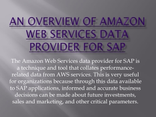 AWS data provider for SAP