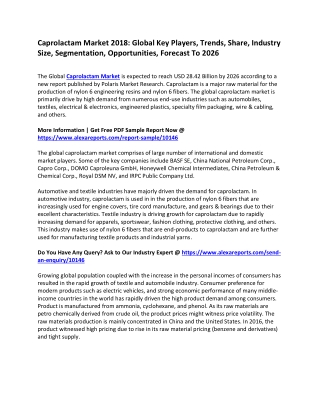 Caprolactam Market 2018: Global Key Players, Trends, Share, Industry Size, Segmentation, Opportunities, Forecast To 2026
