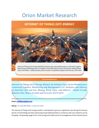 Internet of Things (IoT) Energy Market Segmentation, Forecast, Market Analysis, Global Industry Size and Share to 2025