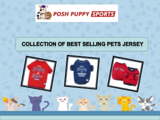 Collection of best selling pets jersey