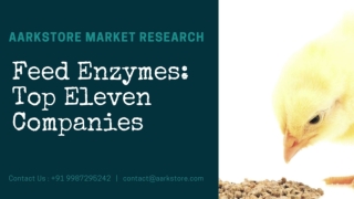 Feed Enzymes: Top Eleven Companies - Market Research Reports