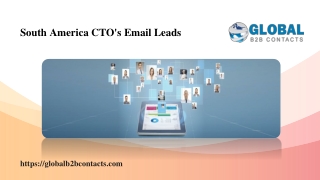 South America CTO's Email Leads