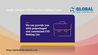 South America CVD Executives Mailing Leads