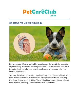 Heartworm Disease in Dogs