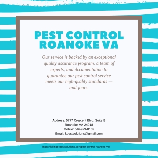 Pest Control Roanoke VA