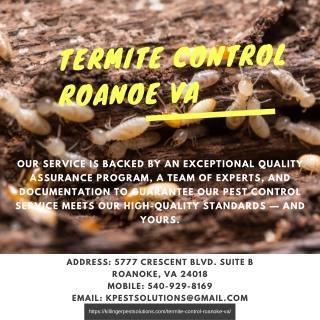 Termite Control Roanoke VA