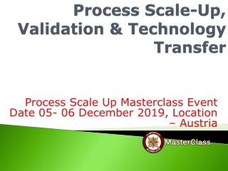 Process Scale-Up in house training