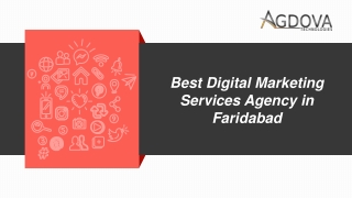 Affordable Digital Marketing Agency in Faridabad, India