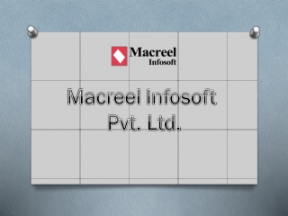 Macreel Infosoft Pvt. Ltd. - Best Software Development Company in India