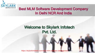 Top MLM Software Company In Delhi NCR and India| Skylark Infotech